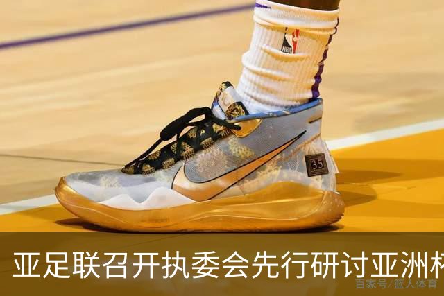 亚足联召开执委会先行研讨亚洲杯延期议题，中国足协主席宋凯参加