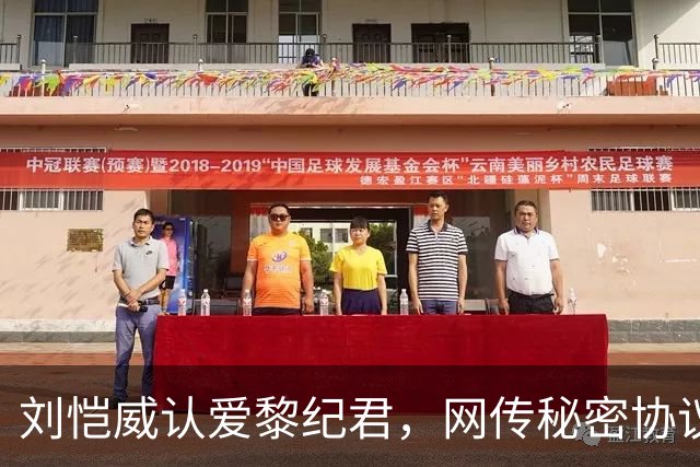 刘恺威认爱黎纪君，网传秘密协议「再婚女儿无条件交回杨幂」，刘丹罕回应