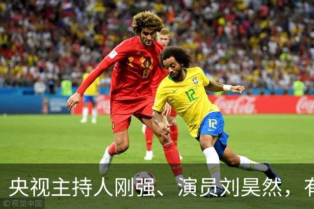 央视主持人刚强、演员刘昊然，有新身份